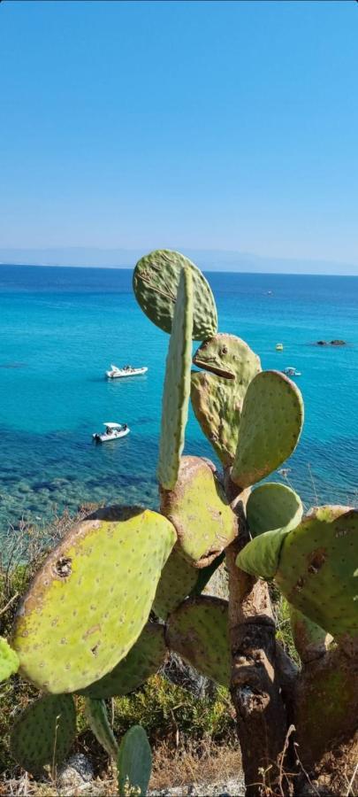 Apartamento Magik Hill Pizzo (Calabria)